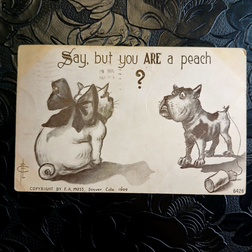 1910's "Say But You‎ Are A Peach" Comic Funny Posted Postcard VTG